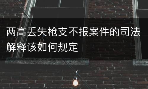 两高丢失枪支不报案件的司法解释该如何规定