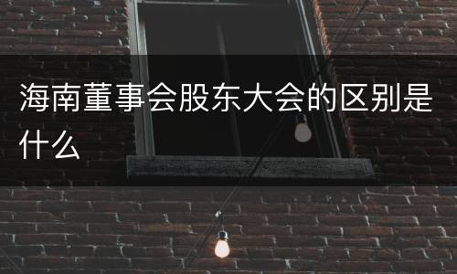 海南董事会股东大会的区别是什么
