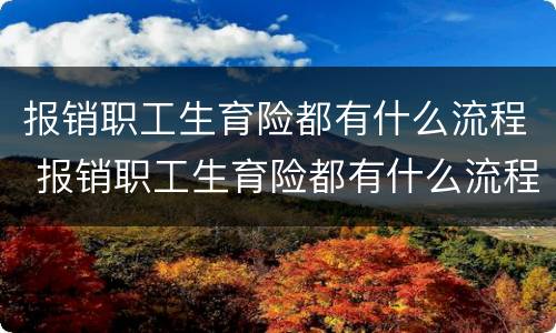 报销职工生育险都有什么流程 报销职工生育险都有什么流程呢