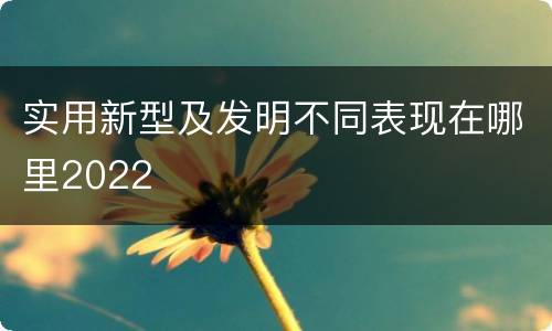 实用新型及发明不同表现在哪里2022