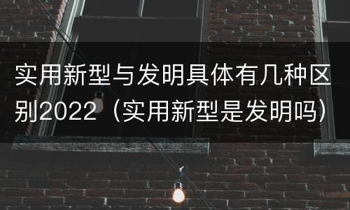 实用新型与发明具体有几种区别2022（实用新型是发明吗）