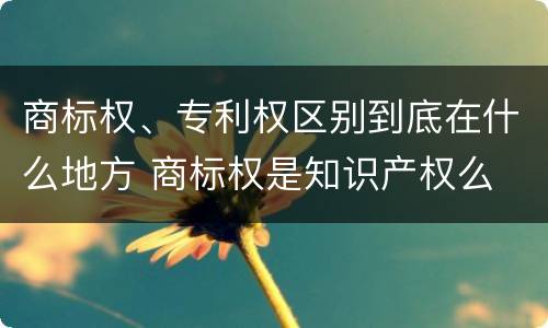 商标权、专利权区别到底在什么地方 商标权是知识产权么