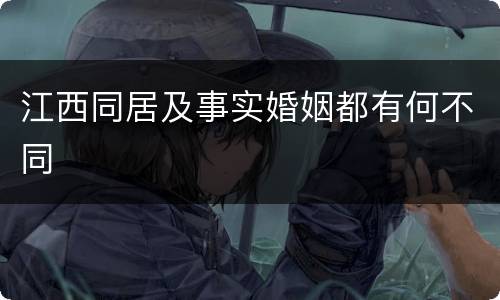 江西同居及事实婚姻都有何不同