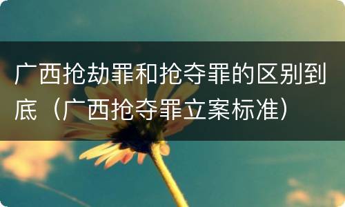 广西抢劫罪和抢夺罪的区别到底（广西抢夺罪立案标准）