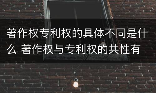 著作权专利权的具体不同是什么 著作权与专利权的共性有