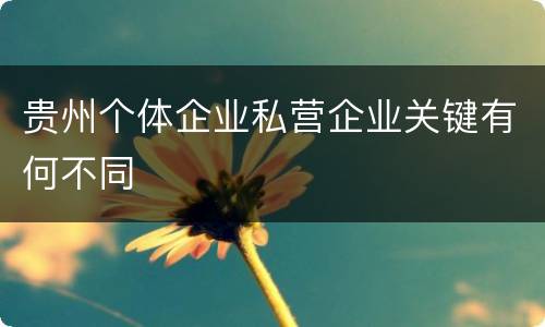 贵州个体企业私营企业关键有何不同