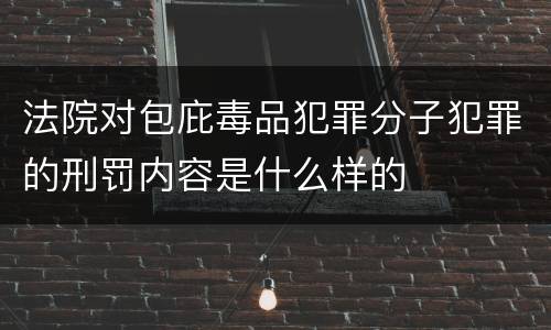 法院对包庇毒品犯罪分子犯罪的刑罚内容是什么样的