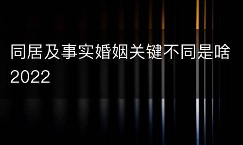 同居及事实婚姻关键不同是啥2022