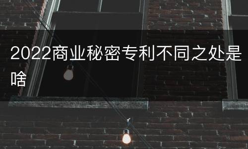 2022商业秘密专利不同之处是啥