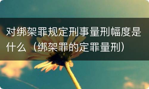 对绑架罪规定刑事量刑幅度是什么（绑架罪的定罪量刑）