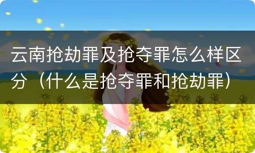 云南抢劫罪及抢夺罪怎么样区分（什么是抢夺罪和抢劫罪）