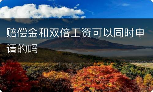 赔偿金和双倍工资可以同时申请的吗