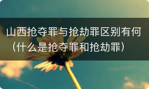 山西抢夺罪与抢劫罪区别有何（什么是抢夺罪和抢劫罪）