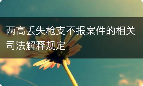 两高丢失枪支不报案件的相关司法解释规定