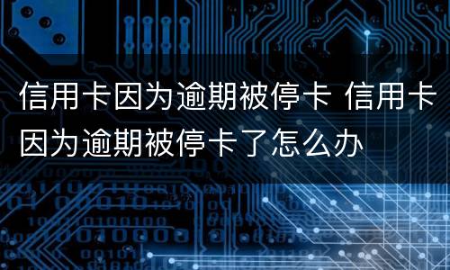 信用卡因为逾期被停卡 信用卡因为逾期被停卡了怎么办