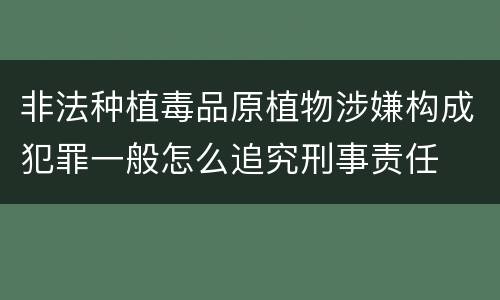 非法种植毒品原植物涉嫌构成犯罪一般怎么追究刑事责任