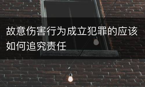 故意伤害行为成立犯罪的应该如何追究责任