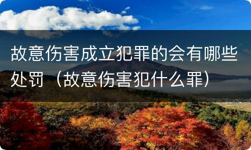 故意伤害成立犯罪的会有哪些处罚（故意伤害犯什么罪）