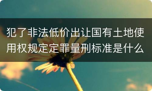 犯了非法低价出让国有土地使用权规定定罪量刑标准是什么样