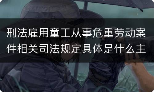 刑法雇用童工从事危重劳动案件相关司法规定具体是什么主要内容