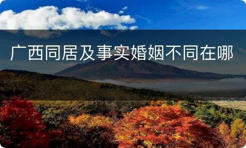 广西同居及事实婚姻不同在哪