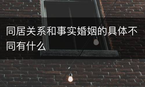 同居关系和事实婚姻的具体不同有什么