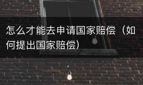 怎么才能去申请国家赔偿（如何提出国家赔偿）