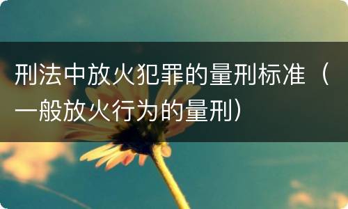 刑法中放火犯罪的量刑标准（一般放火行为的量刑）