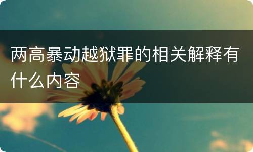 两高暴动越狱罪的相关解释有什么内容