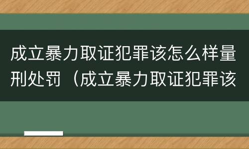 成立暴力取证犯罪该怎么样量刑处罚（成立暴力取证犯罪该怎么样量刑处罚案例）