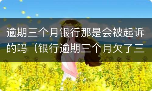 逾期三个月银行那是会被起诉的吗（银行逾期三个月欠了三千会被起诉吗）