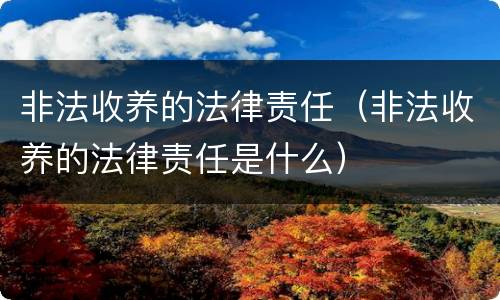 非法收养的法律责任（非法收养的法律责任是什么）