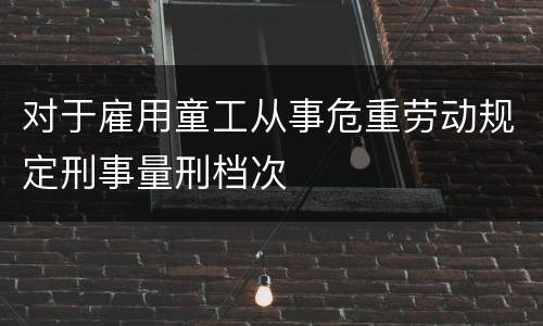 对于雇用童工从事危重劳动规定刑事量刑档次