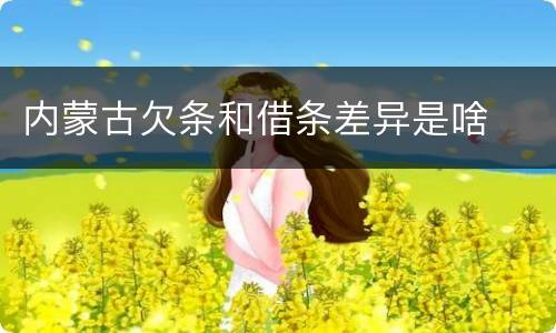 内蒙古欠条和借条差异是啥
