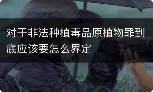 对于非法种植毒品原植物罪到底应该要怎么界定