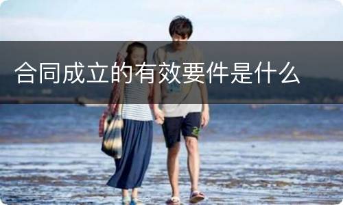 合同成立的有效要件是什么