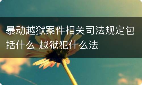 暴动越狱案件相关司法规定包括什么 越狱犯什么法