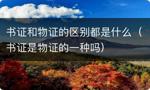 书证和物证的区别都是什么（书证是物证的一种吗）