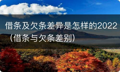 借条及欠条差异是怎样的2022（借条与欠条差别）
