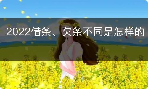 2022借条、欠条不同是怎样的