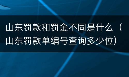 山东罚款和罚金不同是什么（山东罚款单编号查询多少位）
