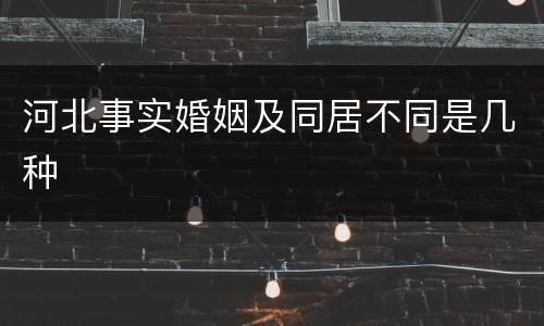 河北事实婚姻及同居不同是几种