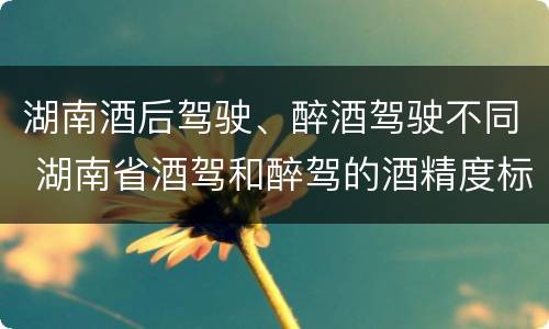 湖南酒后驾驶、醉酒驾驶不同 湖南省酒驾和醉驾的酒精度标准