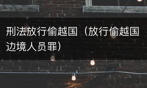 刑法放行偷越国（放行偷越国边境人员罪）