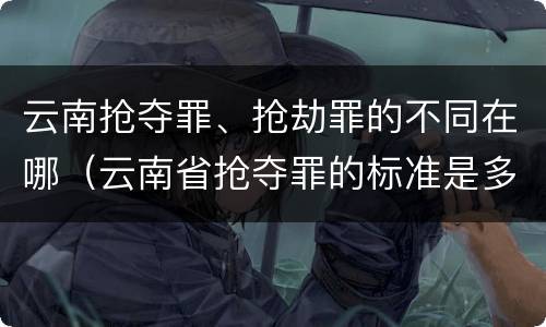 云南抢夺罪、抢劫罪的不同在哪（云南省抢夺罪的标准是多少?）