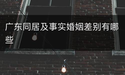 广东同居及事实婚姻差别有哪些