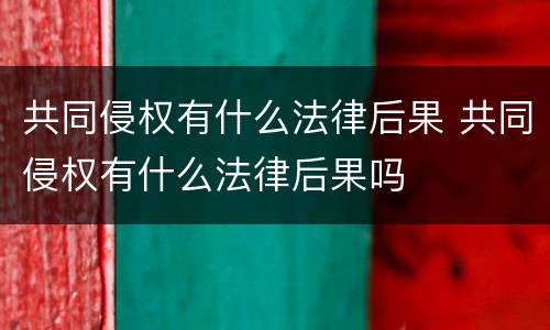 共同侵权有什么法律后果 共同侵权有什么法律后果吗