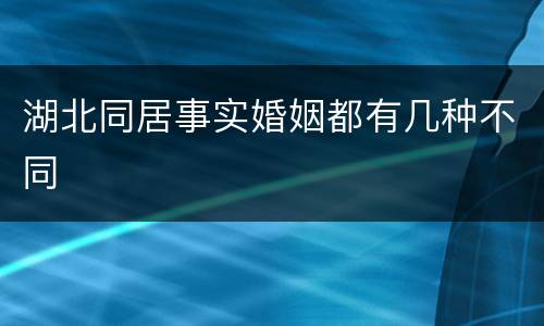 湖北同居事实婚姻都有几种不同