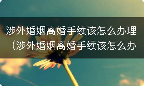 涉外婚姻离婚手续该怎么办理（涉外婚姻离婚手续该怎么办理呢）