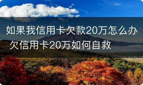 如果我信用卡欠款20万怎么办 欠信用卡20万如何自救